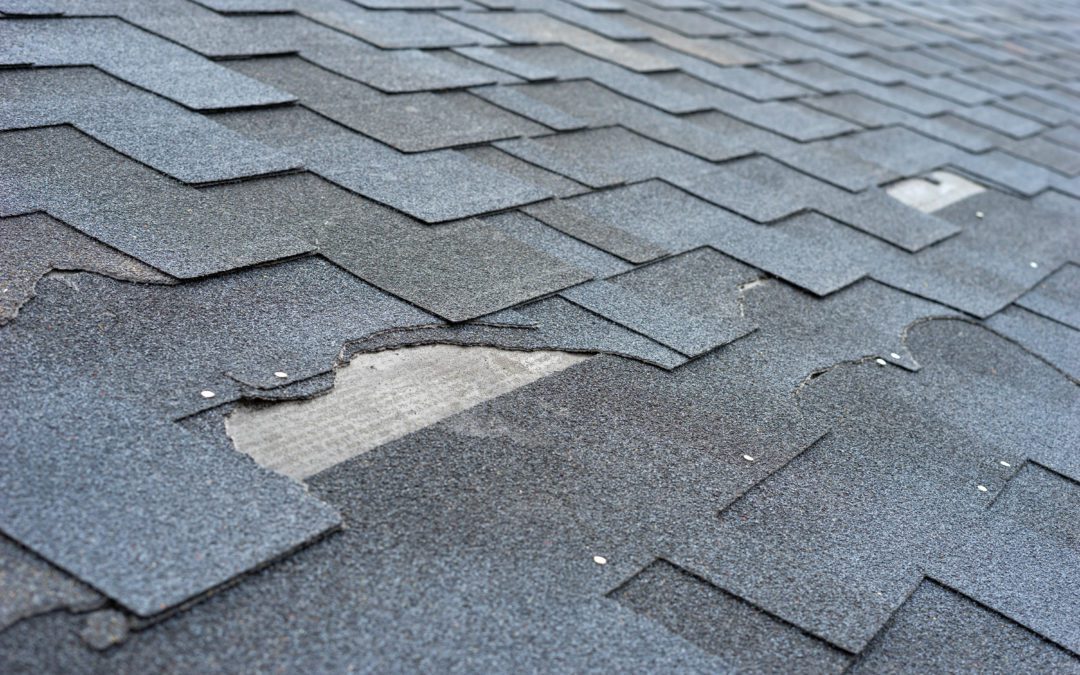 5 Common Causes of Metal Roof Leaks and Repair Options