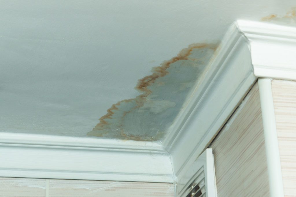 3 Best Way To Find Leaky Roof - Summit Roof Service Inc.