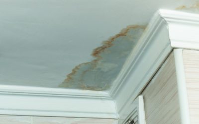 Discover How To Find A Leaky Roof’S Location