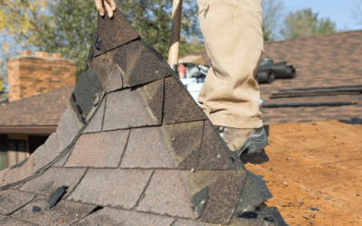 Outdated Or Stylish? Types Of Roofs That Define Modern Living By Summit Roof