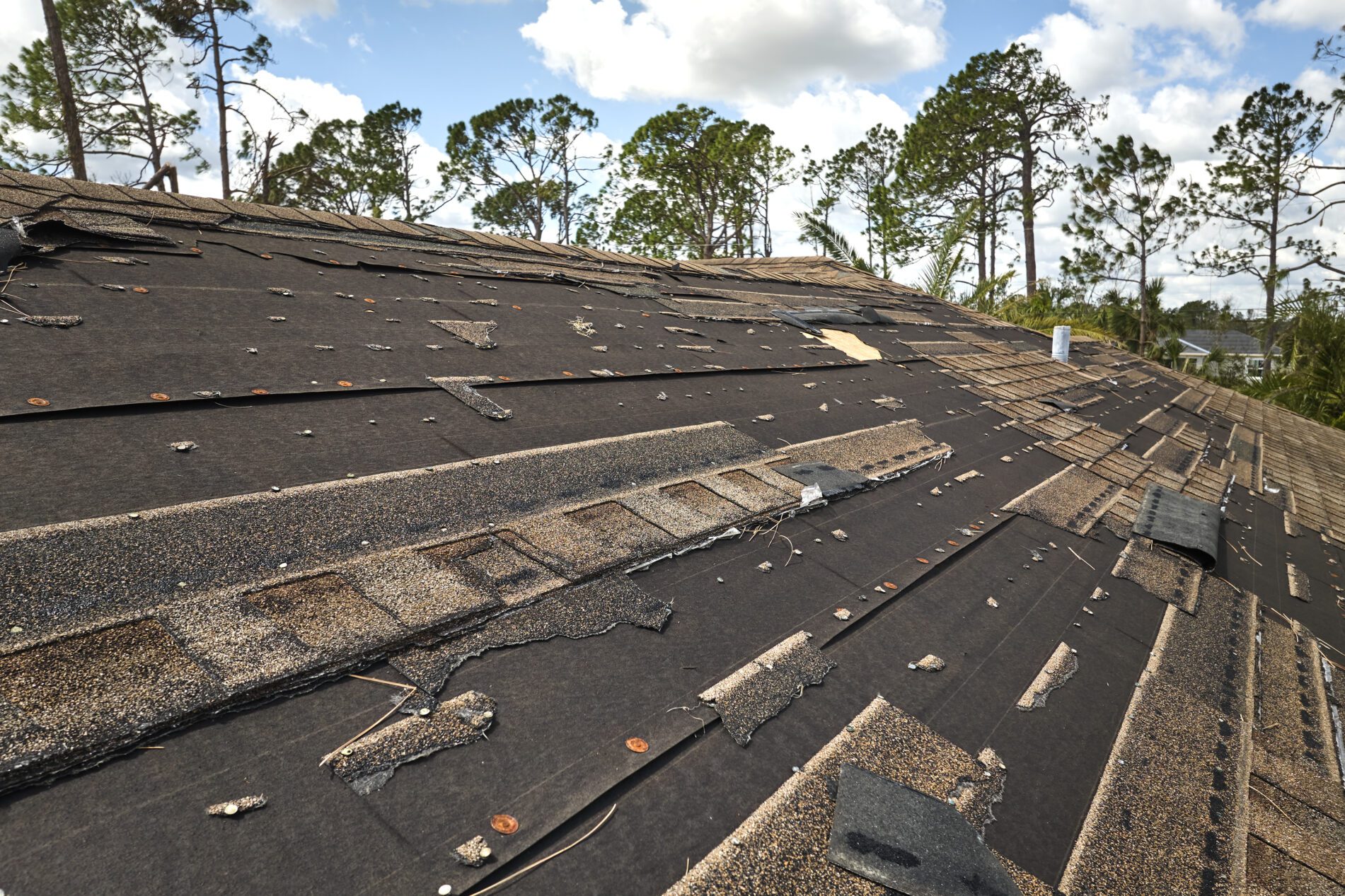 5 Warning Signs Of A Bad Roof You Should Never Ignore